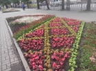 Рівненський міський трест зеленого господарства